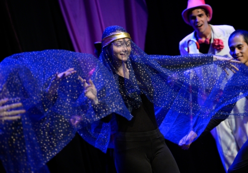 Photo d'un spectacle