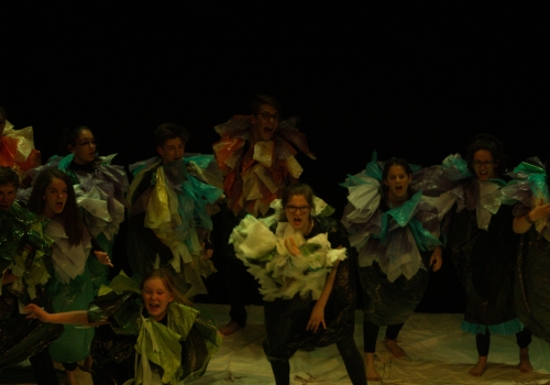 Photo d'un spectacle