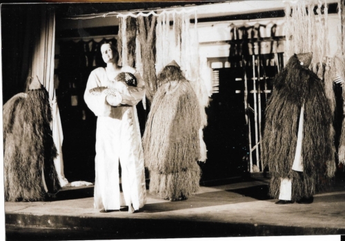 Photo d'un spectacle